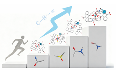 Solvent-coordination directed control of electron transfer dynamics in photoactive complexes 2025.100753